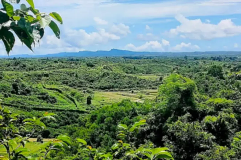 বান্দরবানের নাইক্ষ্যংছড়ি সীমান্তে স্থলমাইন বিস্ফোরণে কাঠুরিয়া আহত, পা উড়ে গেছে
