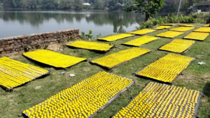 বসন্তের প্রকৃতি ও নারী দিবসের ছবিতে সাজানো বাংলাদেশের একঝলক