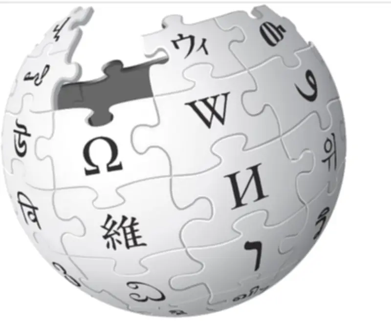 উইকিপিডিয়ার যাত্রা: কীভাবে একটি ব্যক্তিগত অভিজ্ঞতা বিশ্বের বৃহত্তম বিশ্বকোষে পরিণত হলো