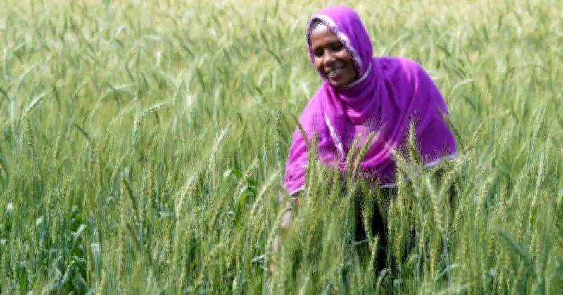 ঝিকরা গ্রামের সুলেখা: দারিদ্র্য জয় করে ফার্মার স্কুলের মাধ্যমে সফল কৃষক ও নারী নেত্রী