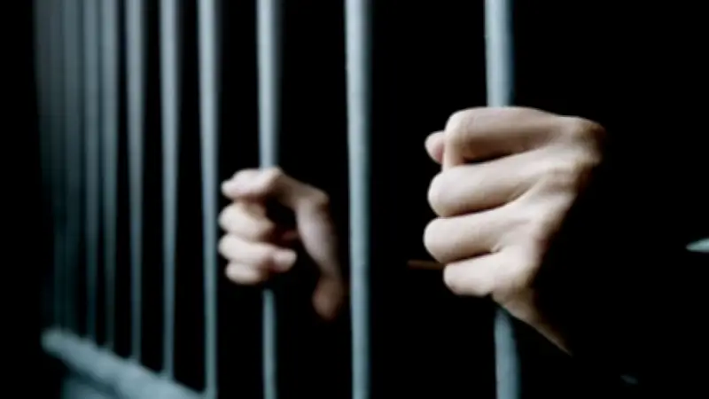 শিক্ষা খাতে এডিবির সহযোগিতা অব্যাহত, কুকুর হত্যার দায়ে তিনজনের কারাদণ্ড, চাষিদের বাম্পার ফলনে আনন্দ