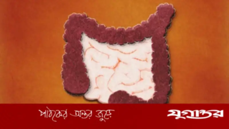 অন্ত্র সুস্থ রাখার জন্য পাঁচটি ফাইবারসমৃদ্ধ খাবার: বিশেষজ্ঞদের পরামর্শ