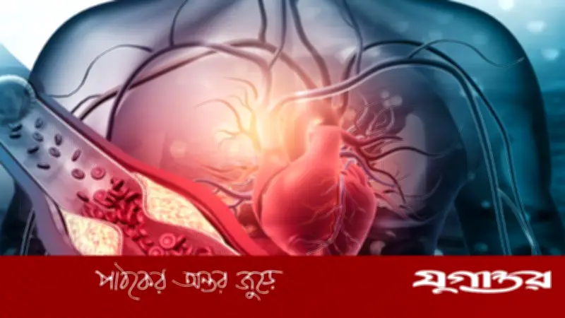 রক্তে কোলেস্টেরল নিয়ন্ত্রণে রাখার কার্যকরী উপায় ও জীবনযাত্রার টিপস