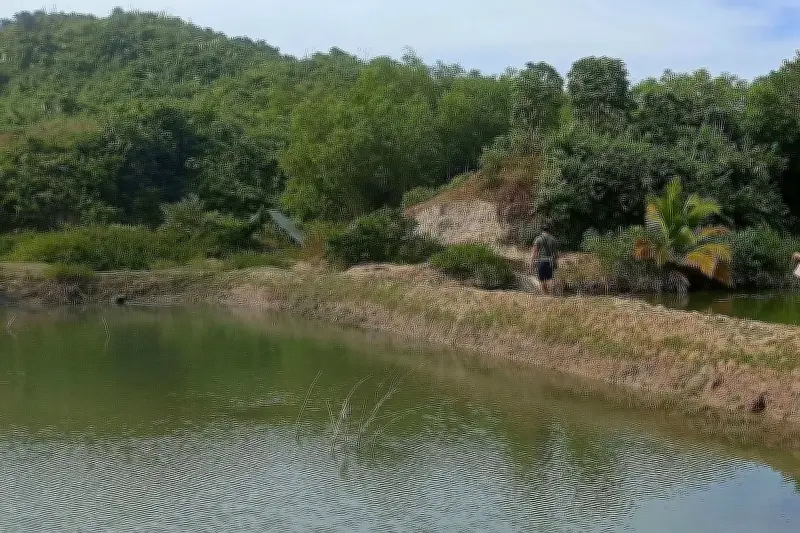 নির্বাচনী দায়িত্বে অবহেলায় রাঙামাটির কর্মকর্তার সাময়িক বরখাস্ত, কিন্তু কার্যকর হবে কি?