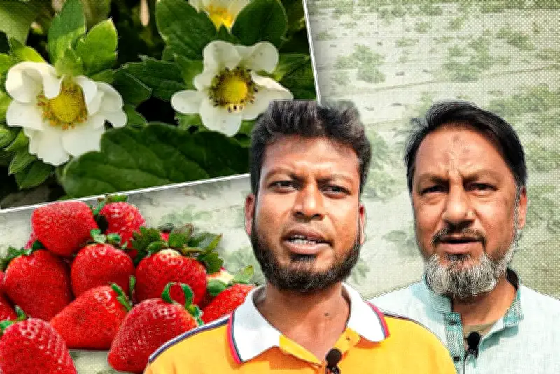 বাংলাদেশে অনলাইন শিক্ষার নতুন সম্ভাবনা: প্রযুক্তির মাধ্যমে শিক্ষার প্রসার