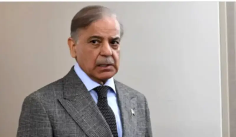 জ্বালানি সংকটে পাকিস্তানের জরুরি পদক্ষেপ: স্কুল বন্ধ, অনলাইন ক্লাস ও সরকারি ব্যয় কমানো