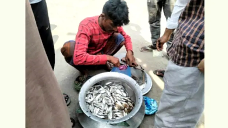 প্রধানমন্ত্রীর ফ্যামিলি কার্ড উদ্বোধন, ইরানের তেল রপ্তানি হুমকি ও স্বর্ণের দাম বৃদ্ধি