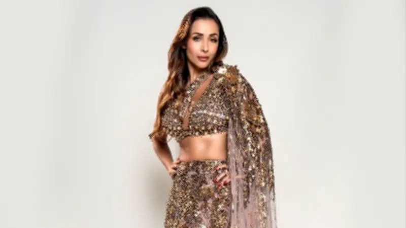 মালাইকা অরোরা ও সোরাব বেদির নাইট ক্লাব ভিডিও ভাইরাল, নেটদুনিয়ায় নতুন প্রেমের গুঞ্জন