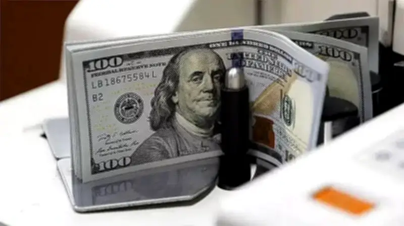 দেশে ডালের দাম বৃদ্ধি: বাজার বিশ্লেষণ ও ভোক্তাদের জন্য পরামর্শ