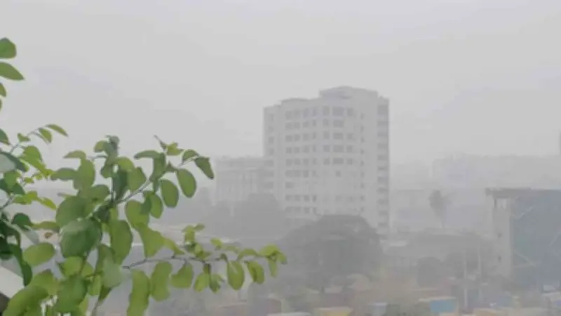 ঢাবি ক্যাম্পাসে নিরাপত্তাকর্মীর ঝুলন্ত মরদেহ উদ্ধার, আকাশ মেঘলা ও তাপমাত্রা অপরিবর্তিত