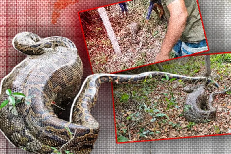 বাংলাদেশে অনলাইন শিক্ষার নতুন সম্ভাবনা: প্রযুক্তির মাধ্যমে শিক্ষার প্রসার