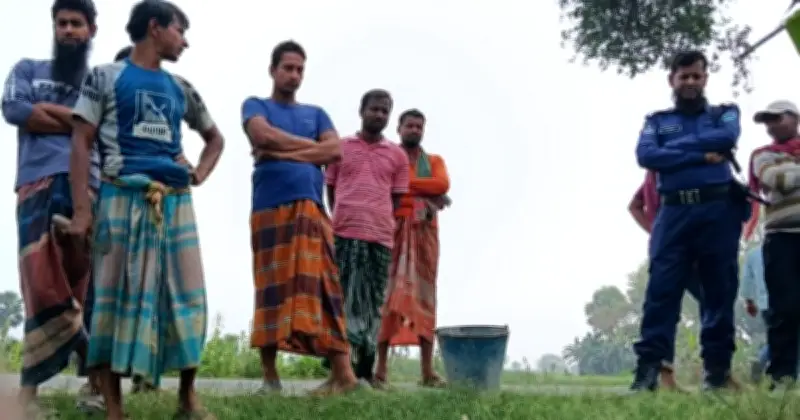 মেহেরপুরের গাংনীতে ভুট্টাখেতের পাশে উদ্ধার দুটি বোমাসদৃশ বস্তু, পুলিশের তৎপরতা