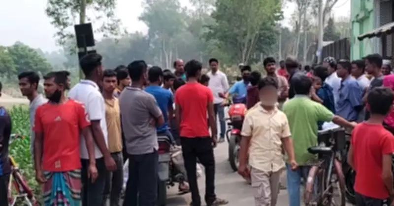 নীলফামারীর ডোমারে গাছ কাটাকে কেন্দ্রে সংঘর্ষে একজনের মৃত্যু, দুইজন আটক