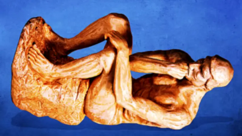 ইগ নোবেল পুরস্কারের আসর এবার সুইজারল্যান্ডে, যুক্তরাষ্ট্রের ভিসা জটিলতায় স্থানান্তর