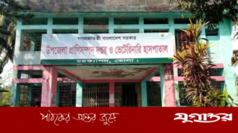 চরফ্যাশনে সরকারি পশু ভ্যাকসিন বাড়তি দামে বিক্রির অভিযোগ, চার কর্মকর্তা জড়িত