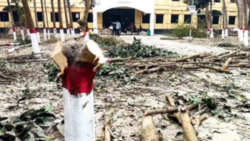 বাংলাদেশের প্রযুক্তি খাতে নতুন সম্ভাবনা: স্টার্টআপ ইকোসিস্টেমের অগ্রগতি