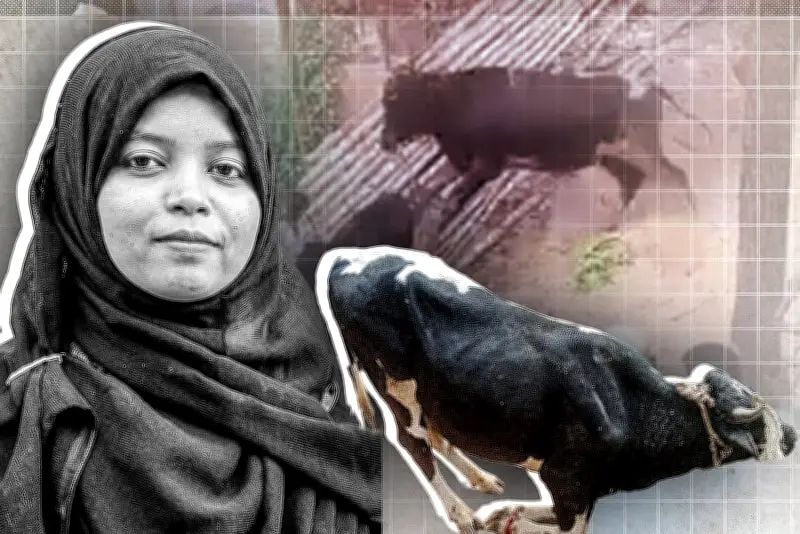 বাংলাদেশে অনলাইন শিক্ষার নতুন সম্ভাবনা: প্রযুক্তির মাধ্যমে শিক্ষার প্রসার