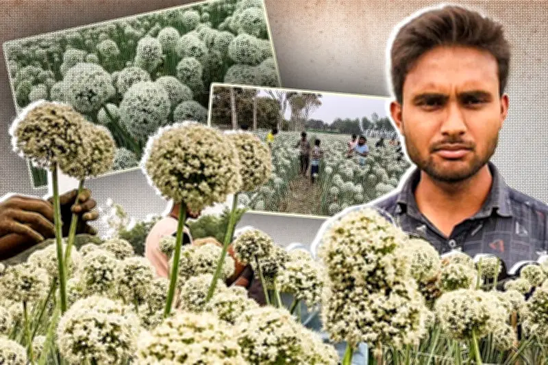 বাংলাদেশে অনলাইন শিক্ষার নতুন সম্ভাবনা: প্রযুক্তির মাধ্যমে শিক্ষার প্রসার