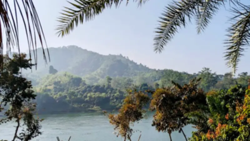 যান্ত্রিকতার ছোঁয়ায় ম্লান শিশুদের রঙিন দিন, প্রকৃতির সৌন্দর্যে হারানো মুহূর্ত