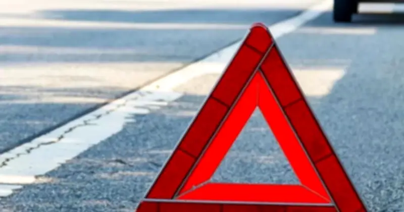 বাগেরহাটের মংলায় বাস-মাইক্রোবাস সংঘর্ষে নিহত ১২, হাসপাতালে আট লাশ