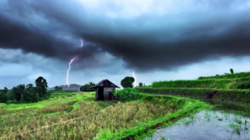 নওগাঁয় বজ্রপাতে দুই কৃষকের মৃত্যু, ইথিওপিয়ায় বন্যা-ভূমিধ্বসে নিহত ৬৪