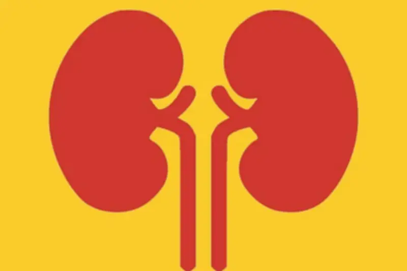 কিডনি রোগের বিস্তার উদ্বেগজনক: প্রতি সাতজনে একজন আক্রান্ত, সচেতনতাই প্রধান সমাধান