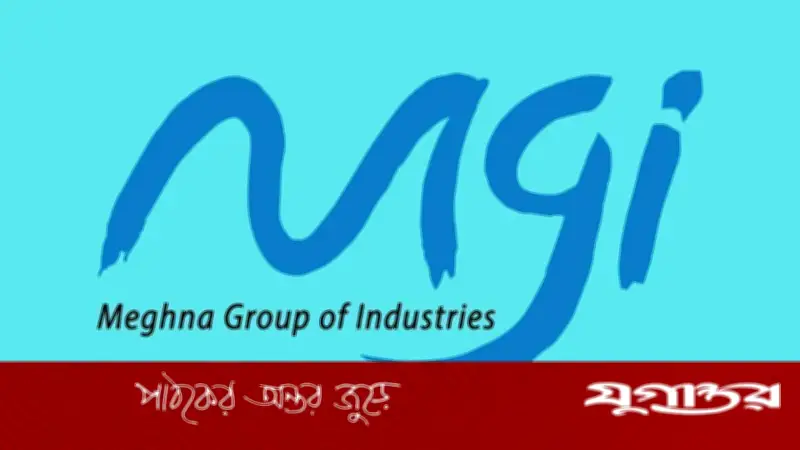 মেঘনা গ্রুপে প্ল্যান্ট হেড পদে চাকরি, বয়সসীমা নেই, আবেদনের শেষ তারিখ ২৫ মার্চ