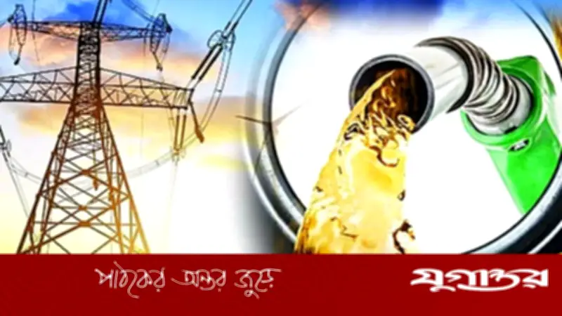 জ্বালানি সংকট মোকাবিলায় বাংলাদেশের নেওয়া পদক্ষেপ: ভারত-চীনসহ বহু দেশের সঙ্গে যোগাযোগ