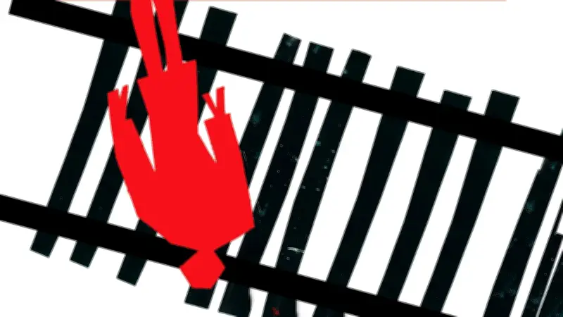 নড়াইলে ছাগল বাঁচাতে গিয়ে ট্রেনে কাটা পড়ে মালিকের মৃত্যু