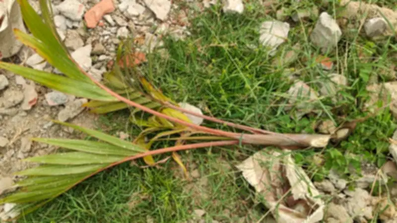 সংসদে জাতীয় সংগীতের সময় বসা নিয়ে হান্নান মাসউদের ব্যাখ্যা, বিমানমন্ত্রী শাহজালালের তৃতীয় টার্মিনাল চালু হবে