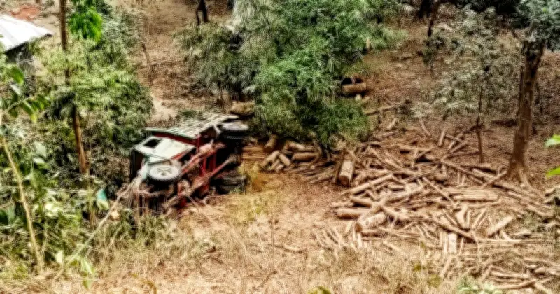 বান্দরবানে লাকড়িবোঝাই ট্রাক খাদে পড়ে দুজন নিহত, আহত একজন