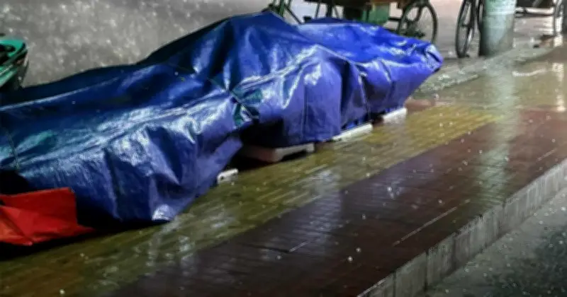 ঢাকায় প্রথম কালবৈশাখী: ধূলিঝড় ও বৃষ্টিতে রাস্তায় চলাচলে বিঘ্ন