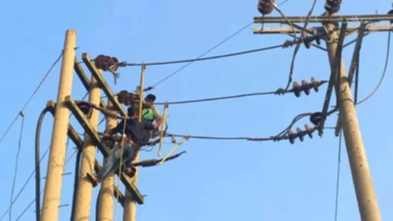 বিদ্যুৎ বন্ধ, নদীবন্দরে সতর্কতা, আগুন, ক্রিকেটার আহত, শিক্ষামন্ত্রীর বক্তব্য, ইরান-ইসরায়েল উত্তেজনা, ফ্লাইট বাতিল, সমাধি পরিদর্শন, পানির ব্যবস্থা, মার্কিন বিমান দুর্ঘটনা