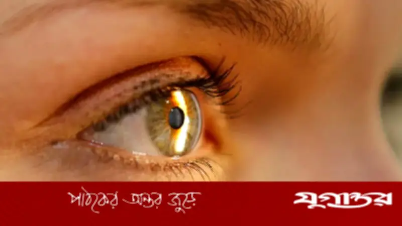 ওজন কমানোর ইনজেকশন 'ওয়েগোভি' ব্যবহারে দৃষ্টিশক্তি হারানোর ঝুঁকি বাড়ছে: গবেষণা