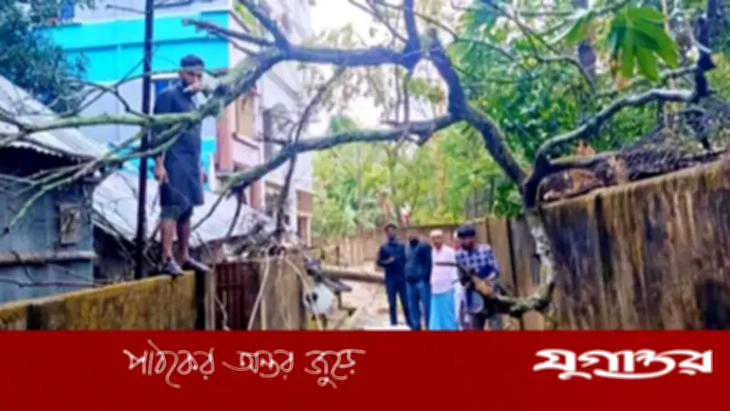 মৌলভীবাজারে ঝড়ে বিদ্যুৎ লাইন বিচ্ছিন্ন, ৩ ট্রান্সফরমার ক্ষতিগ্রস্ত