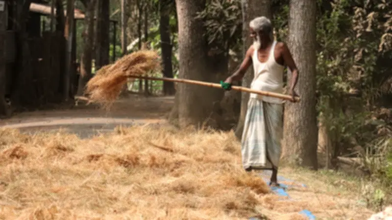 প্রথম আলোর ফটো গ্যালারি: মুহূর্তের দৃশ্যাবলী