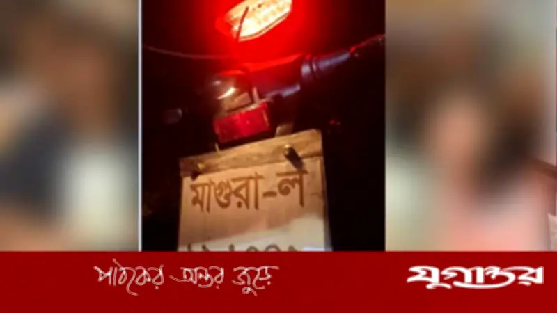 মাগুরায় ঝড়ে গাছের ডাল ভেঙে পড়ে দুই যুবকের মর্মান্তিক মৃত্যু