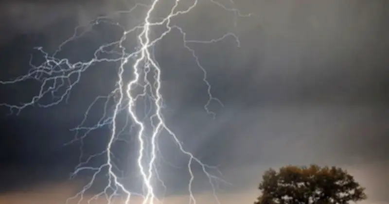 নেত্রকোনায় বজ্রপাতে দুইজনের মৃত্যু: নিহত কৃষক ও রাজমিস্ত্রি