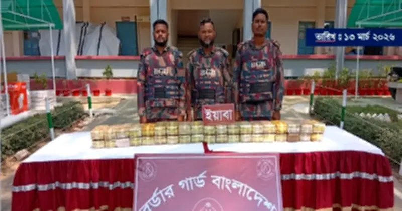 কক্সবাজারে বিজিবির অভিযানে ১১ কোটি ৪০ লাখ টাকার ইয়াবা জব্দ