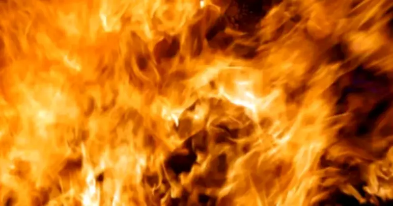 মালদ্বীপে আগুনে পাঁচ বাংলাদেশি কর্মীর মৃত্যু, দু’জন গুরুতর আহত