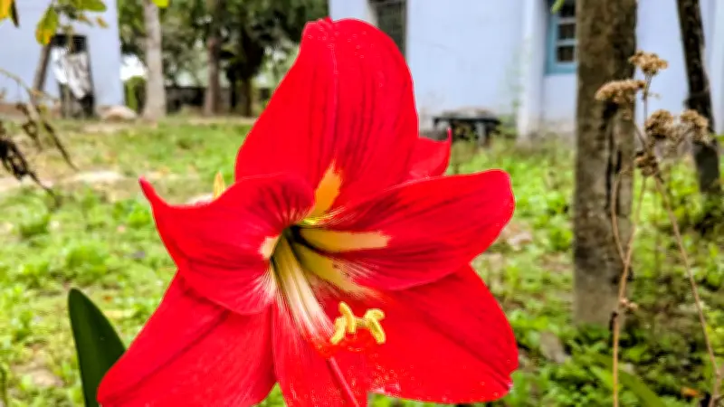 বাংলাদেশের নাগরিকদের চোখে জীবনের নানা রঙ: স্কুল থেকে সমুদ্রসৈকত পর্যন্ত