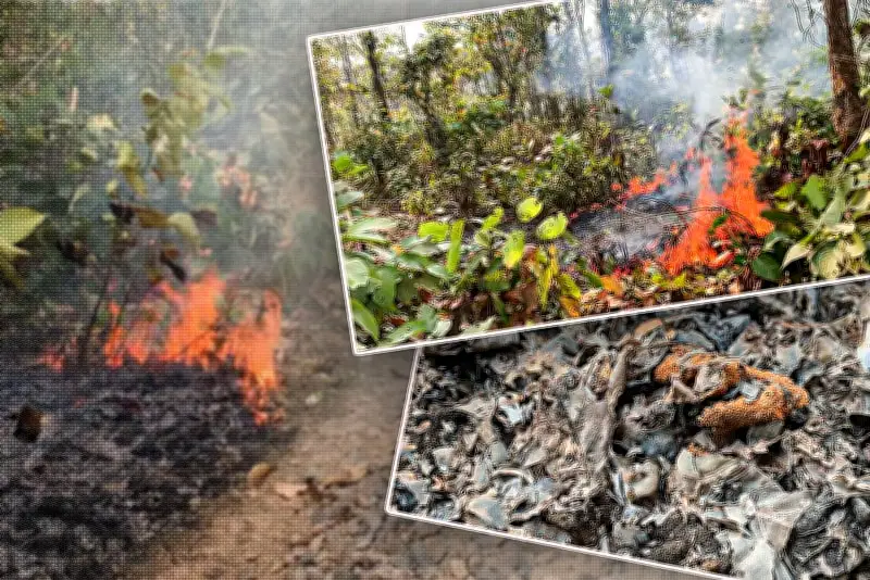বাংলাদেশে অনলাইন শিক্ষার নতুন সম্ভাবনা: প্রযুক্তির মাধ্যমে শিক্ষার প্রসার
