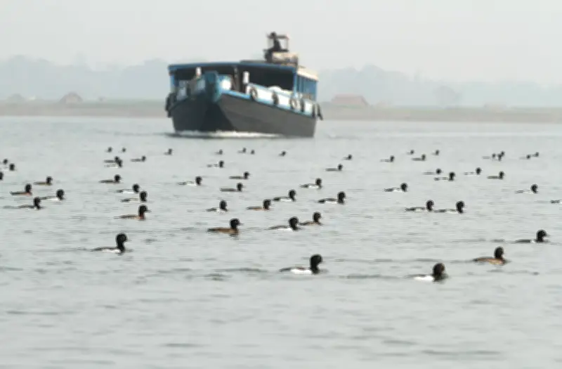 বাংলাদেশের প্রাকৃতিক ও সাংস্কৃতিক দৃশ্য: পাখি, পাহাড়ি নারী থেকে ম্যানগ্রোভ নার্সারি