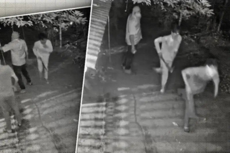 বাংলাদেশে অনলাইন শিক্ষার নতুন যুগ: প্রযুক্তির মাধ্যমে শিক্ষার প্রসার