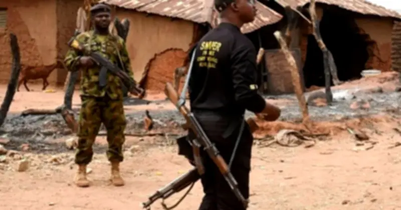 নাইজেরিয়ার গ্রামে বন্দুকধারীদের হামলায় ২০ জন নিহত, গবাদি পশু লুট