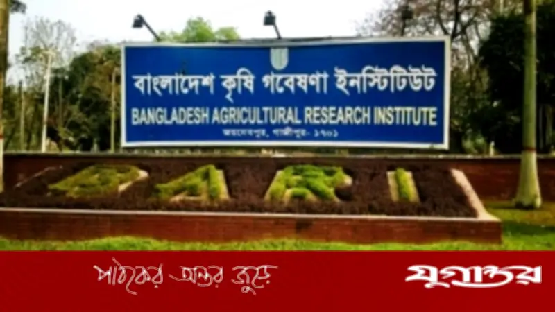 বাংলাদেশ কৃষি গবেষণা ইনস্টিটিউটে ১৯১টি পদে নিয়োগ বিজ্ঞপ্তি প্রকাশ