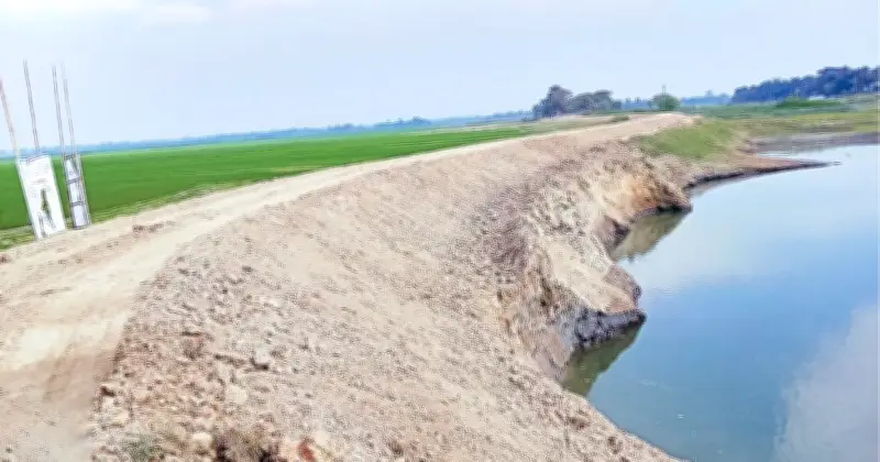 সিলেটে বৃষ্টিতে স্বস্তি, হাওরে বাঁধ ফাটলে কৃষকের উদ্বেগ