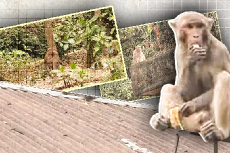 বাংলাদেশে অনলাইন শিক্ষার অগ্রগতি: নতুন সম্ভাবনা ও চ্যালেঞ্জ