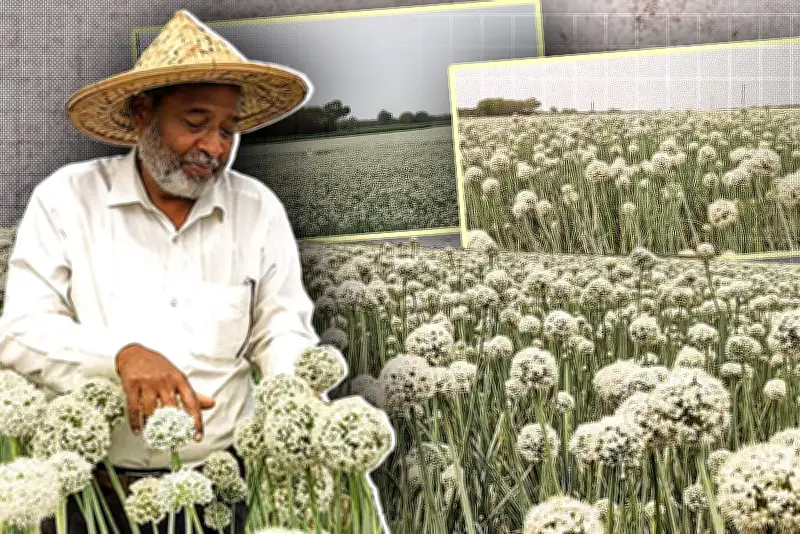 বাংলাদেশে অনলাইন শিক্ষার নতুন দিগন্ত: প্রযুক্তির মাধ্যমে শিক্ষার প্রসার