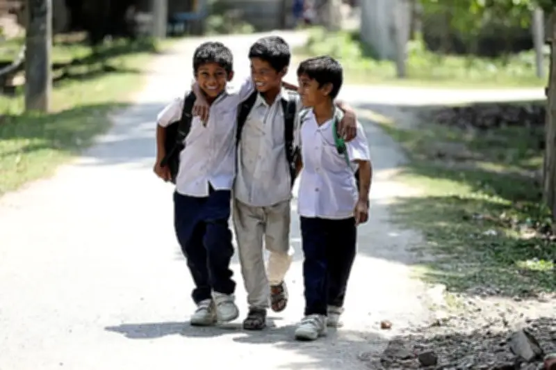 প্রাথমিক বিদ্যালয়ে ভর্তিতে আবারও পরীক্ষা পদ্ধতি চালুর আলোচনা, শিক্ষাবিদদের সতর্কতা